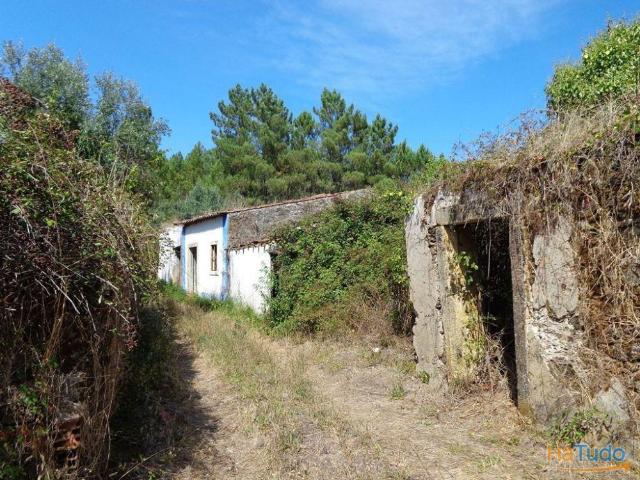 Terreno c/Ruína para recuperar T1225/14 | 26083252756