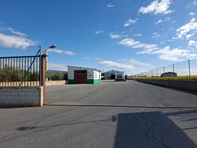 Terreno, Daimiel