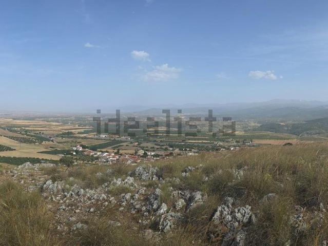 Terreno, Darro