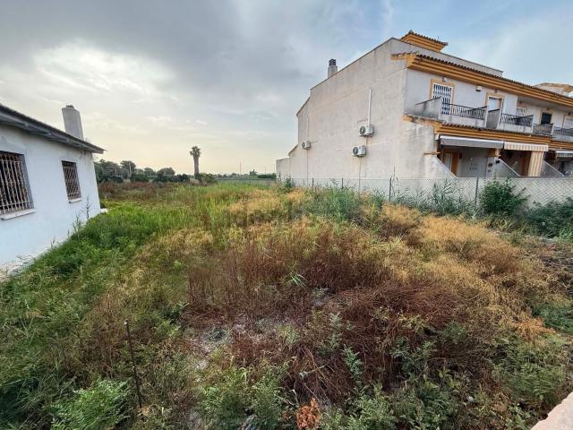 Terreno, Daya Nueva