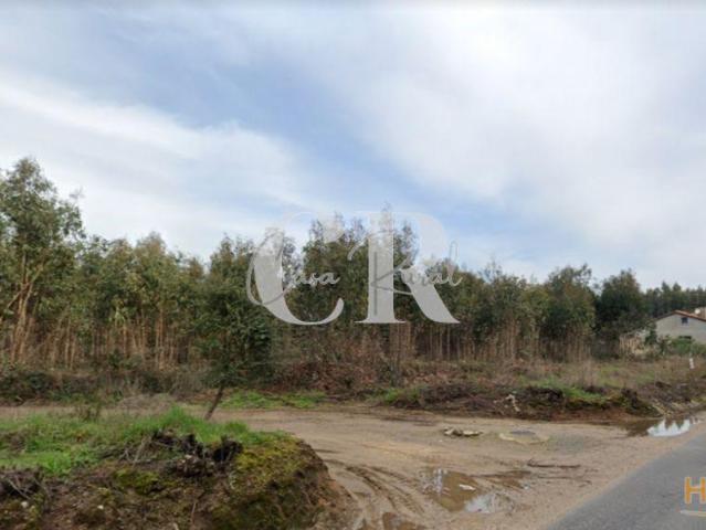 Terreno de mato e eucaliptal com 25700 m2 | 26083710725