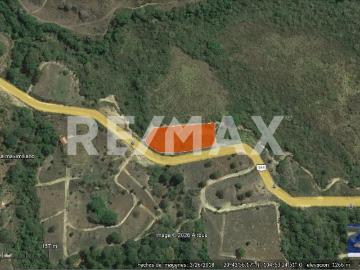 Venta Lote Predio de Montaña en Carr Fed 544 cerca San Sebastián del Oeste Excelente Clima Entorno Natural Virgen