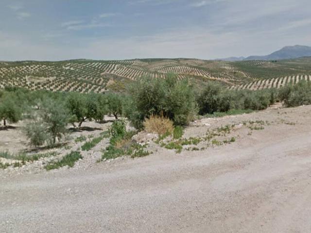 Terreno de olivar en la zona de Villagordo, en Jaén
