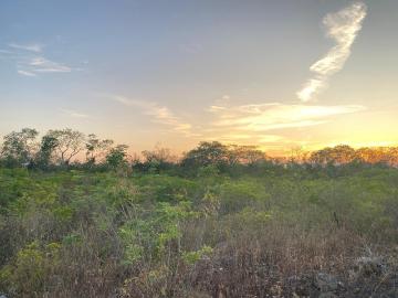 Terreno de oportunidad en VENTA cerca de Xibalb? Xcaret