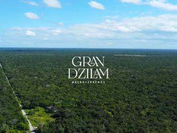 TERRENO DE OPORTUNIDAD EN YUCATÁN