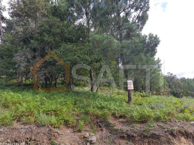 Terreno de aptido construtiva
