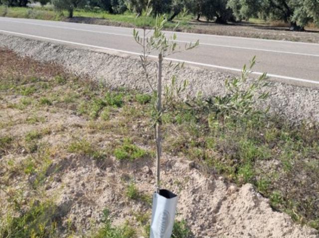 Terreno De Cultivo en Venta en, Córdoba