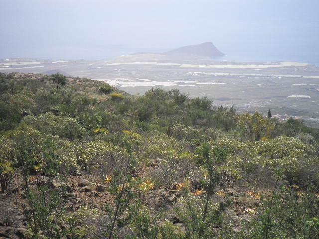 Terreno De Cultivo en Venta en Vilaflor, S. C. Tenerife