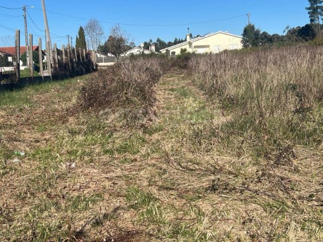 Terreno de Construçao em Monte Real