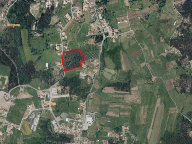 Terreno de construção Ideal para Loteamento 18 mil m2 em Mujães