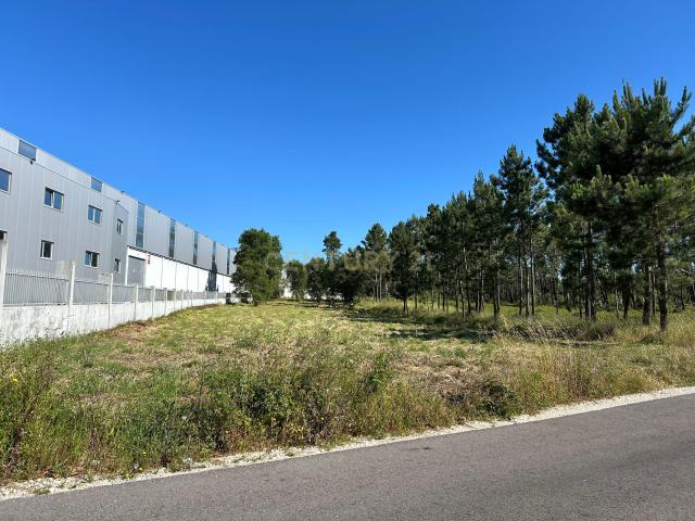 Terreno de Construção, na Rua da Oliveira, A do Barbas, Maceira