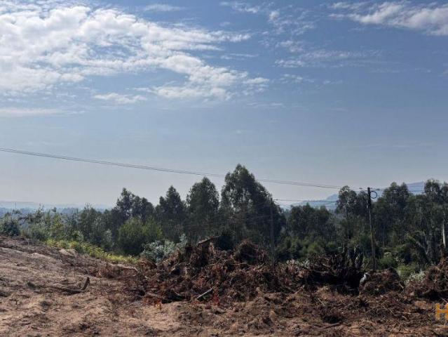 Terreno de construção para venda em Rio Covo Santa Eulália Barcelos | 26064064904