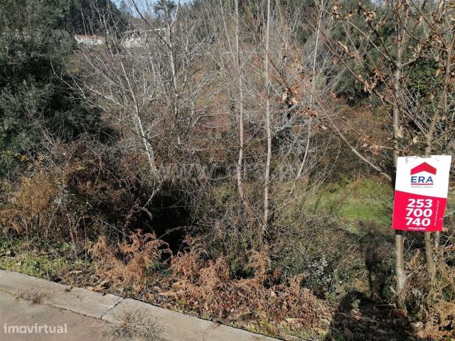 Terreno de construo em Cabeceiras de Basto