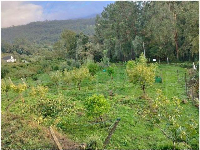 Terreno de Construo em Roussas, Melgao