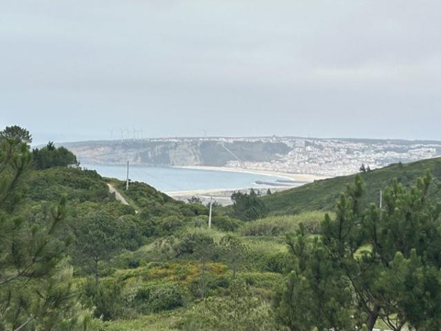 Terreno de exceção na Nazaré, com vista mar e projeto aprovado!