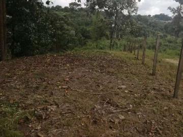 Terreno De En San Miguel De Los Bancos