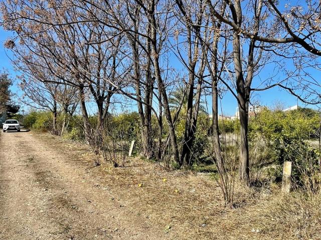 TERRENO DE HUERTA CON MUCHO ARBOLADO EN NONDUERMAS