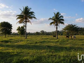 TERRENO DE INVERSIÓN ACTIVO ESTRATÉGICO 300ha ES LAS CHOPAS,VERACRUZ