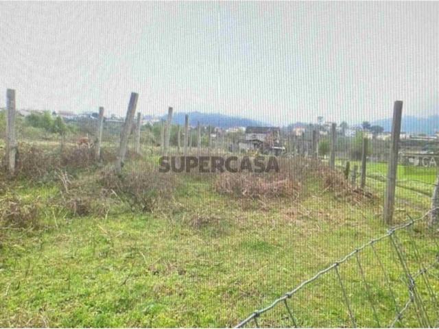 Terreno de Pastagem