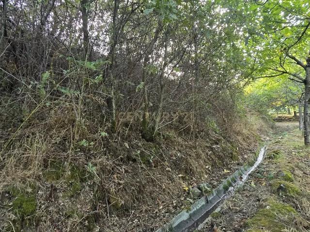 Terreno de produção agrícola em Gestaçô, Baião