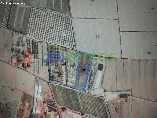Terreno de Regadío