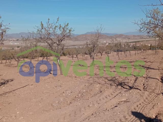 Terreno parcela en Purias