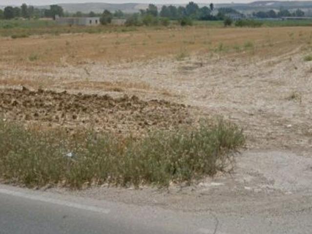 Terreno de siembra de 12.250 m2, fachada a la carretera