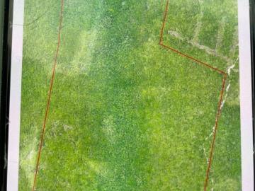 Terreno de ubicado a 1.8 kilometros del tren maya