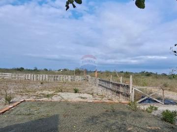 Terreno de venta con casa de campo manta el aromo