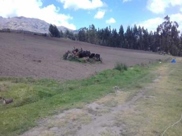 Terreno de Venta de 16.8 Hectareas en Tupigachi Tabacundo