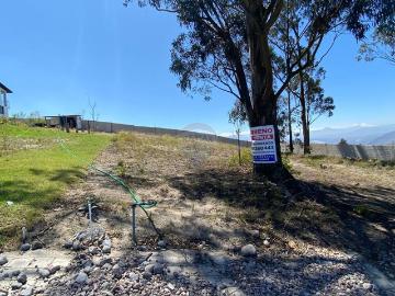 Terreno de venta en malchingui