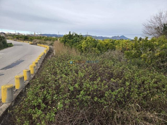 Terreno de venta en L'Alqueria de la Comtessa