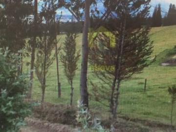 Terreno de Venta Via al Nevado Cayambe