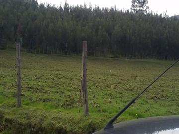 Terreno de Venta 3 Hectáreas 20min Centro Cayambe