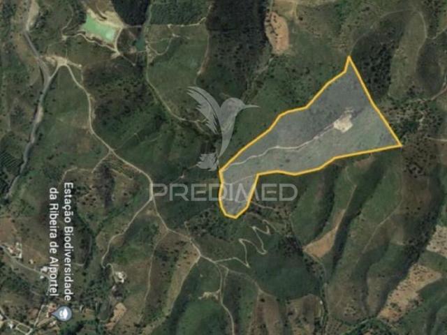 Terreno de 15000 m2 à venda São Brás de Alportel, Faro