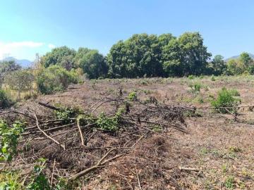 Terreno de 15000 m² en venta en La Basilia, a bordo de carretera