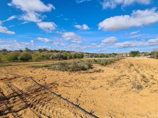 Terreno de 15600 m2 Albufeira e Olhos de Água, Albufeira, Faro