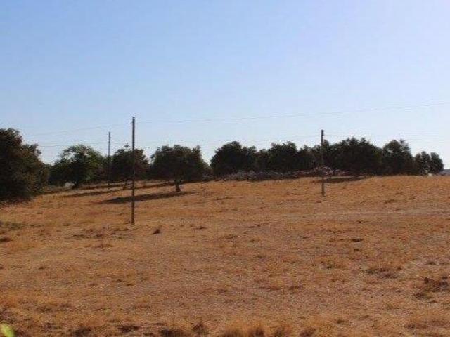 Terreno de 15890 m2 à venda Albufeira e Olhos de Água, Albufeira, Faro
