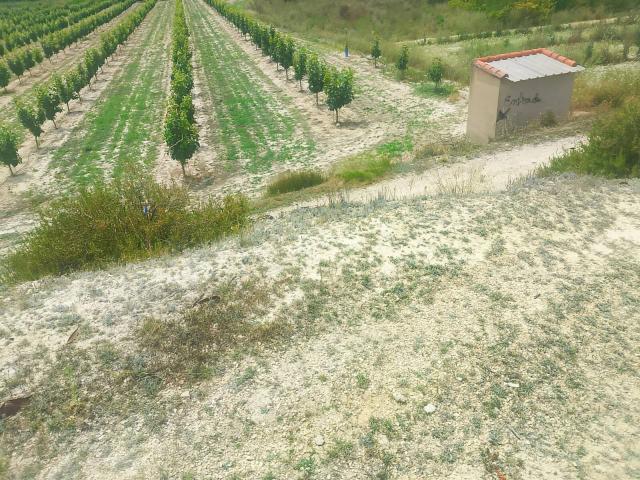 Terreno de 15.492 m² 18,6 hanegadas en Belgida con dos accesos y casa de aperos