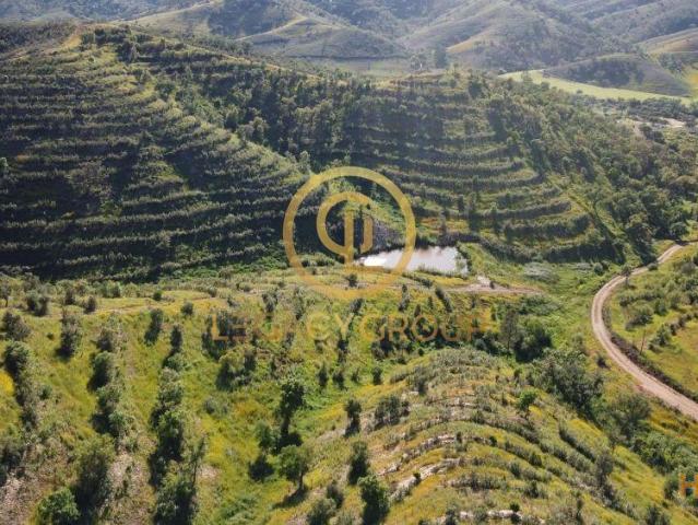 Terreno de 15,6 hectares em Sabóia, Odemira | 26083318499