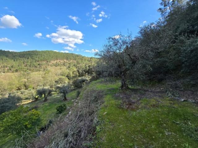 Terreno de 16000m2 com Spot Fantastico sobre a ribeira no Sesmo Sarzedas