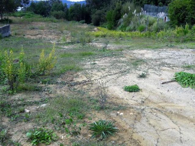 Terreno de 16647 m2 Oliveira de Azeméis, Portugal