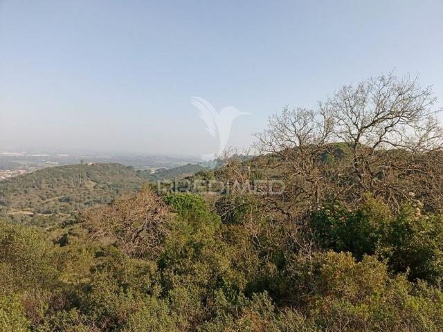 Terreno de 171250 m2 à venda Santiago do Cacém, Portugal
