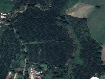 Terreno de 174 has bien ubicado