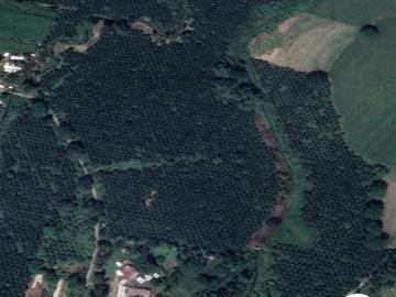 Terreno de 174 has bien ubicado