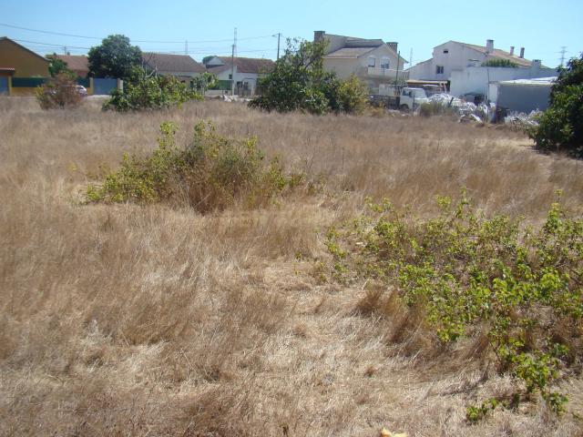 Terreno de 1842 m2, en Quinta do Anjo