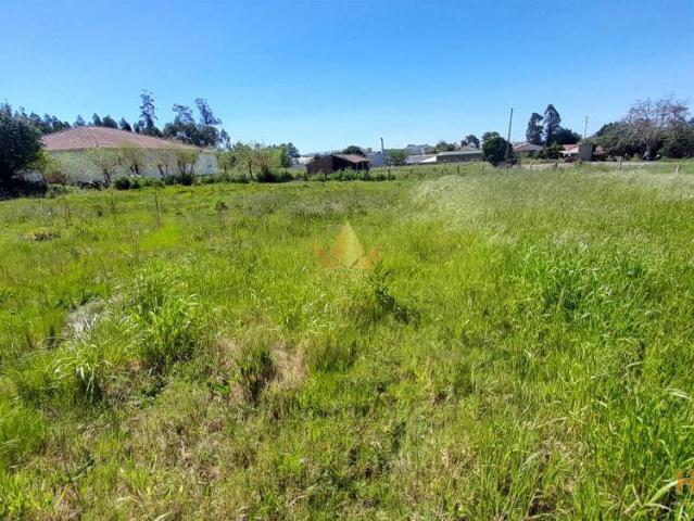 Terreno de 1896m2 com viabilidade de construção em Regueira de Pontes, Leiria | 26063796079