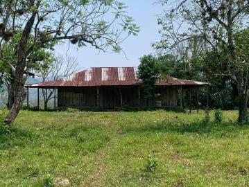 Terreno de 190 hectareas cerca de Palenque