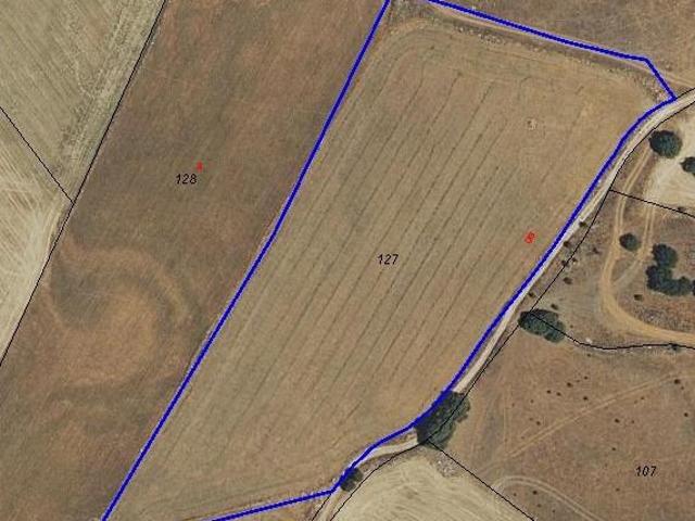 Terreno de 19.041 m2 para Proyecto Fotovoltaico o Actividad Agropecuaria