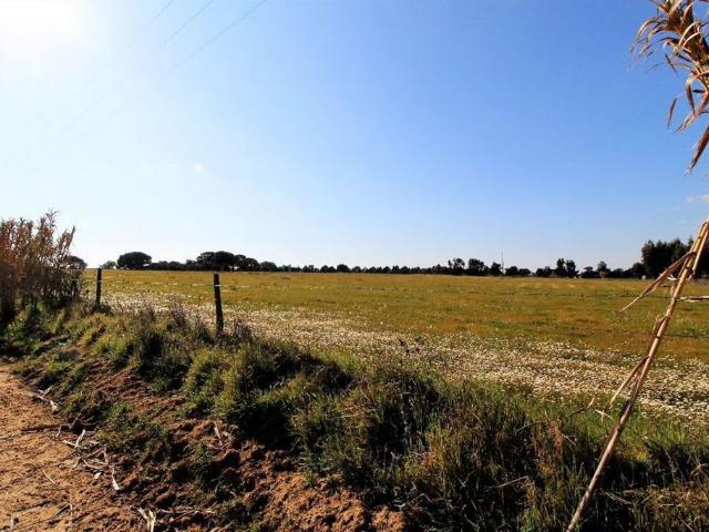 Terreno de 100000 m2 à venda Palmela, Setúbal